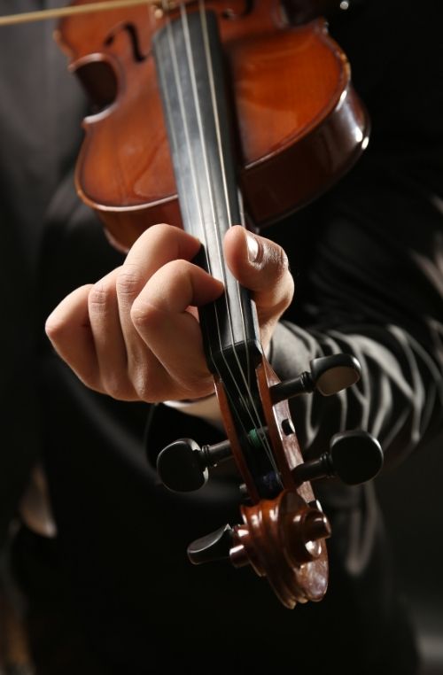 musicos profesionales para eventos
